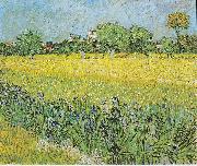 View of Arles with irises in the foreground, Vincent Van Gogh